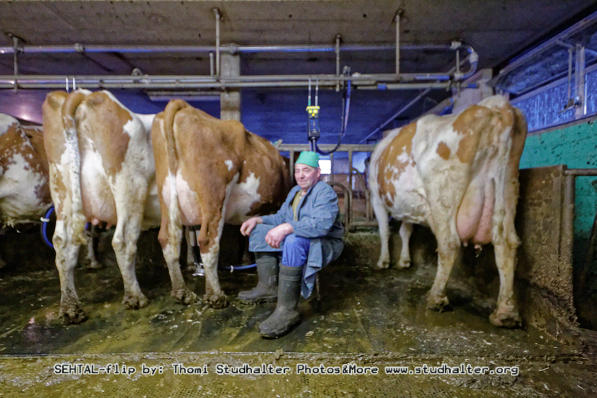 Winiger Sepp, Landwirt in&nbsp;Sulz/LU
