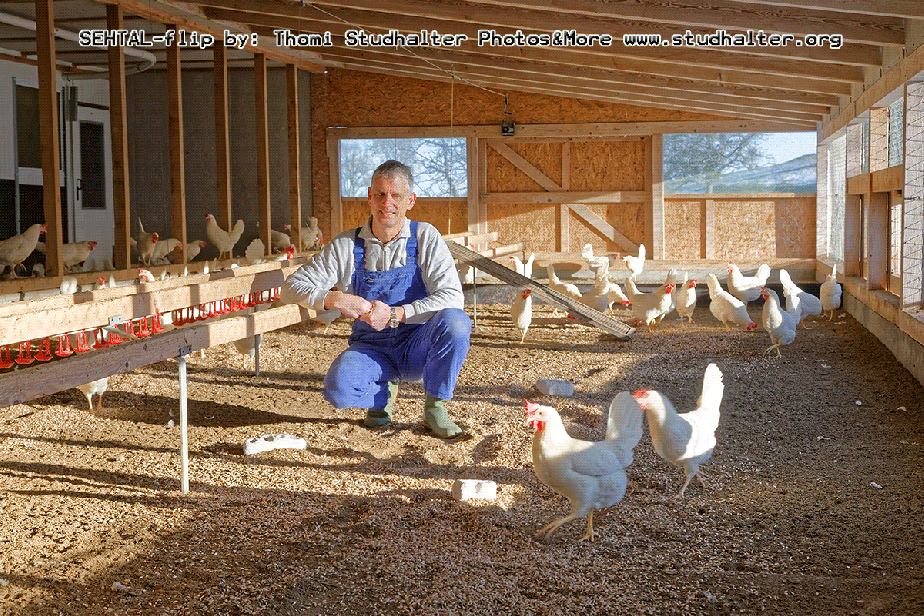 2016-01-25_Wandeler-Patrick_Gif12