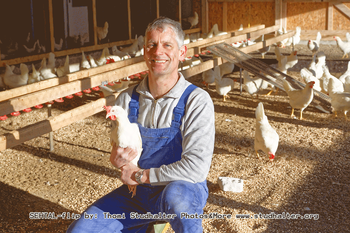 Wandeler Patrick, Geflügelhof&nbsp;Gunzwil
