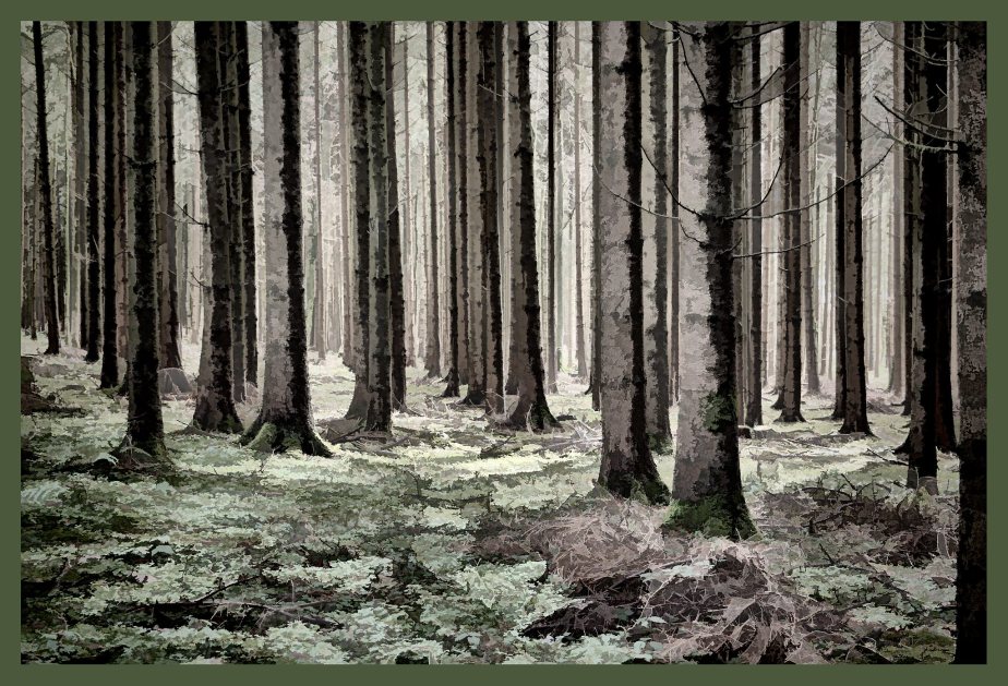 Sulzer Wald vor dem grossen&nbsp;Schneefall