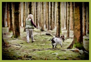 SULZ/LU 03. JANUAR 2015 - SPAZIERGANG MIT ZWERGGEISS IM SULZER WALD.