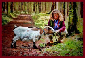 SULZ/LU 03. JANUAR 2015 - SPAZIERGANG MIT ZWERGGEISS IM SULZER WALD.