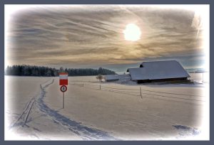 SULZ/LU 19. JANUAR 2015 - PFERDEKUTSCHE IM VERSCHNEITEN SULZER WALD: Pferdeschlitten im tief verschneiten Sulzer Wald auf dem Lindenberg.