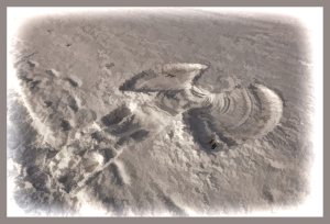 SULZ/LU 19. JANUAR 2015 - Schnee-Engel im tief verschneiten Sulzer Wald auf dem Lindenberg.