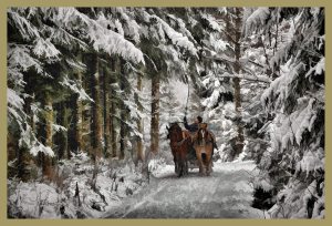 SULZ/LU 19. JANUAR 2015 - PFERDEKUTSCHE IM VERSCHNEITEN SULZER WALD: Pferdeschlitten im tief verschneiten Sulzer Wald auf dem Lindenberg. Pferdeschlitten unterwegs.