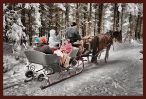 SULZ/LU 19. JANUAR 2015 - PFERDEKUTSCHE IM VERSCHNEITEN SULZER WALD: Pferdeschlitten im tief verschneiten Sulzer Wald auf dem Lindenberg.
