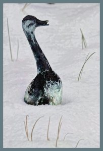 SULZ/LU 17. JANUAR 2015 - UNSER GARTEN IM SCHNEE: Features aus unserem Garten im ersten Schnee. Der Winter verzaubert die Natur.