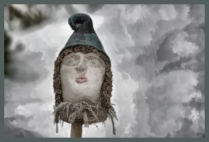 SULZ/LU 17. JANUAR 2015 - UNSER GARTEN IM SCHNEE: Features aus unserem Garten im ersten Schnee. Der Winter verzaubert die Natur.