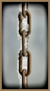 SULZ/LU 17. JANUAR 2015 - UNSER GARTEN IM SCHNEE: Features aus unserem Garten im ersten Schnee. Der Winter verzaubert die Natur.