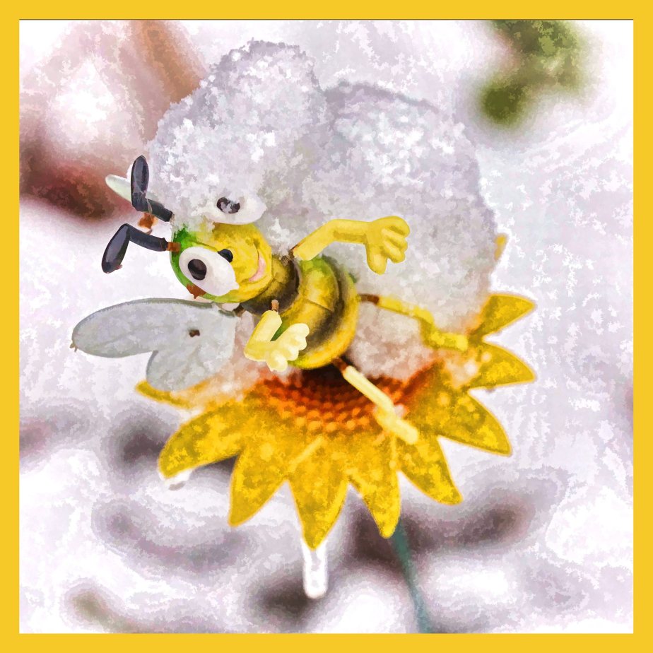 Winterzauber im Garten