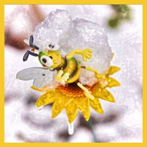 SULZ/LU 17. JANUAR 2015 - UNSER GARTEN IM SCHNEE: Features aus unserem Garten im ersten Schnee. Der Winter verzaubert die Natur.