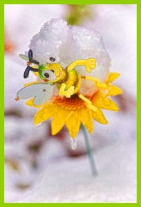 SULZ/LU 17. JANUAR 2015 - UNSER GARTEN IM SCHNEE: Features aus unserem Garten im ersten Schnee. Der Winter verzaubert die Natur.