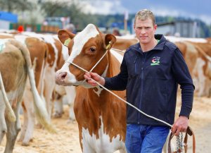 Impressionen Jubiläumsschau 125 Jahre Fleckviehzuchtverein Eichberg auf dem Areal der Landwirtschaftschule BBZN Hohenrain.