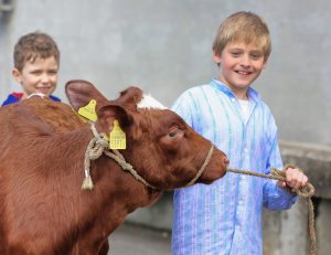 Impressionen Jubiläumsschau 125 Jahre Fleckviehzuchtverein Eichberg auf dem Areal der Landwirtschaftschule BBZN Hohenrain.