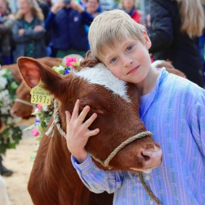 Impressionen Jubiläumsschau 125 Jahre Fleckviehzuchtverein Eichberg auf dem Areal der Landwirtschaftschule BBZN Hohenrain.