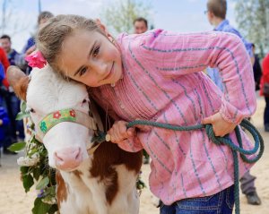 Impressionen Jubiläumsschau 125 Jahre Fleckviehzuchtverein Eichberg auf dem Areal der Landwirtschaftschule BBZN Hohenrain.