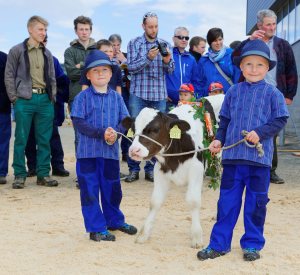 Impressionen Jubiläumsschau 125 Jahre Fleckviehzuchtverein Eichberg auf dem Areal der Landwirtschaftschule BBZN Hohenrain.