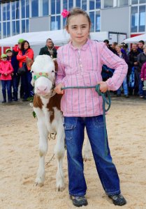 Impressionen Jubiläumsschau 125 Jahre Fleckviehzuchtverein Eichberg auf dem Areal der Landwirtschaftschule BBZN Hohenrain.