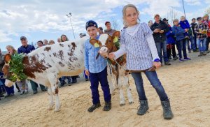 Impressionen Jubiläumsschau 125 Jahre Fleckviehzuchtverein Eichberg auf dem Areal der Landwirtschaftschule BBZN Hohenrain.