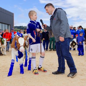 Impressionen Jubiläumsschau 125 Jahre Fleckviehzuchtverein Eichberg auf dem Areal der Landwirtschaftschule BBZN Hohenrain.
