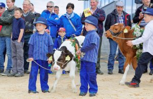 Impressionen Jubiläumsschau 125 Jahre Fleckviehzuchtverein Eichberg auf dem Areal der Landwirtschaftschule BBZN Hohenrain.