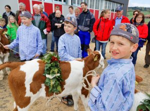 Impressionen Jubiläumsschau 125 Jahre Fleckviehzuchtverein Eichberg auf dem Areal der Landwirtschaftschule BBZN Hohenrain.