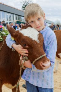 Impressionen Jubiläumsschau 125 Jahre Fleckviehzuchtverein Eichberg auf dem Areal der Landwirtschaftschule BBZN Hohenrain.