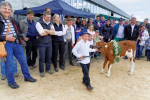 Impressionen Jubiläumsschau 125 Jahre Fleckviehzuchtverein Eichberg auf dem Areal der Landwirtschaftschule BBZN Hohenrain.