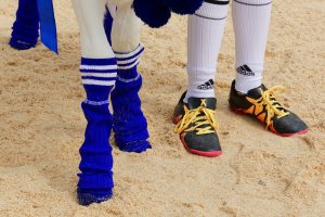 Impressionen Jubiläumsschau 125 Jahre Fleckviehzuchtverein Eichberg auf dem Areal der Landwirtschaftschule BBZN Hohenrain.
