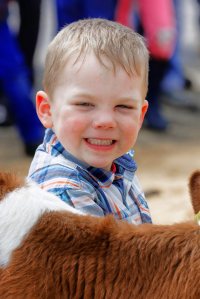 Impressionen Jubiläumsschau 125 Jahre Fleckviehzuchtverein Eichberg auf dem Areal der Landwirtschaftschule BBZN Hohenrain.