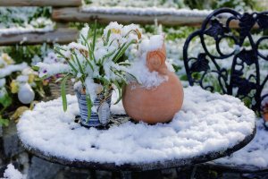 Wintereinbruch mitten im Frühling: Ein paar Tage zuvor noch sommerliche Temperaturen, dann am Wochenende Frost und Schneefall. Impressionen aus unserem verschneiten Garten.