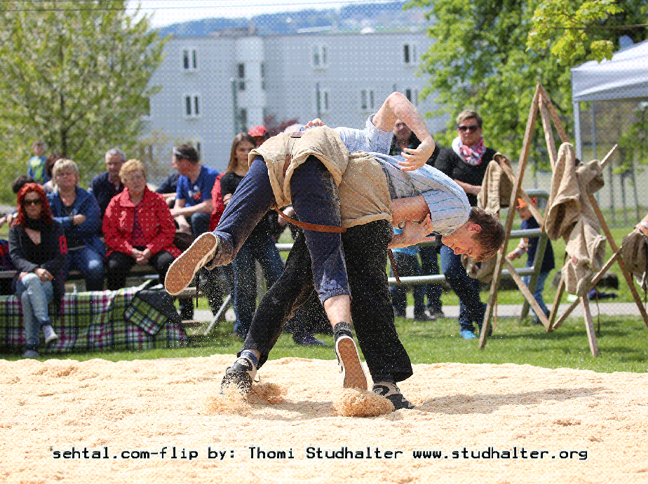 2016-04-30_Schwingen_Gif15