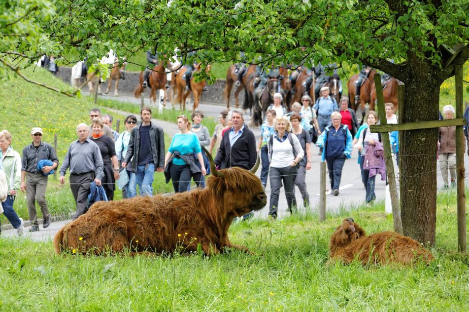 Auffahrt 2016: Ritt in den&nbsp;Frühling