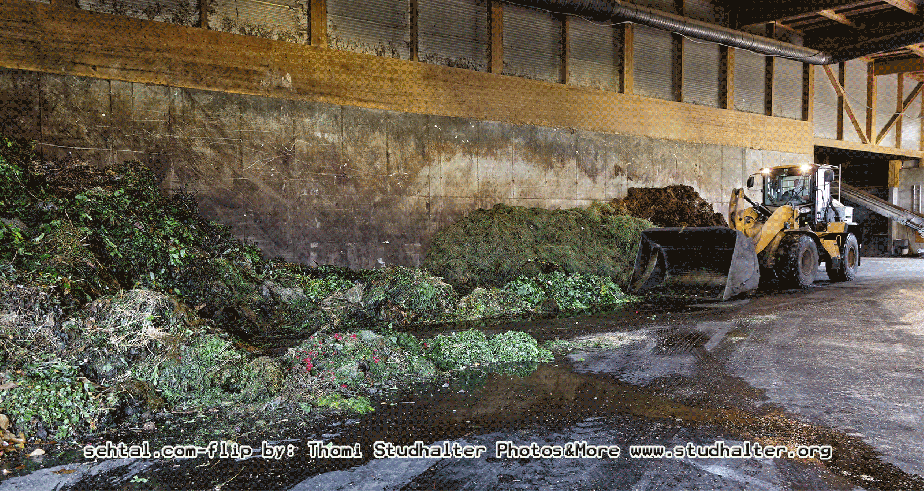 2016-06-28_Gassner-Philip_Gif5