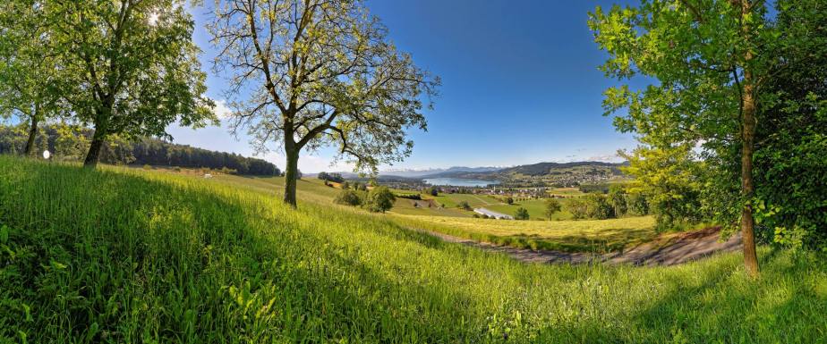 600m über Meer und hoch über dem Alltag - da liegt der Eichberg. Hoch über Seengen und dem Wasserschloss Hallwil lockt eine fantastische Aussicht über das Seetal (Hallwilersee) bis hin zu den Alpen.