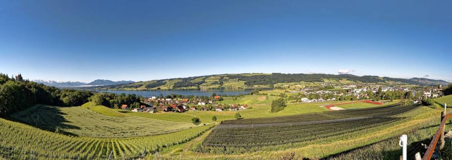 Panorama auf dem Weingut Kaiserspan von Edith Maechler-Britschgi und Andreas Bachmann in Gelfingen bei Hitzkirch. Am linken Bildrand das Schloss Heidegg, in der Mitte Gelfingen und der Baldeggersee und rechts Hitzkirch, im Hintergrund der Hallwilersee.