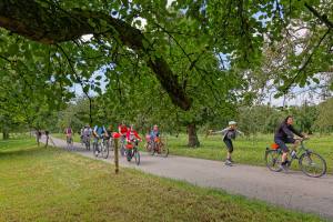 Im Land der Obstbäume bei Altwis (Photo by: www.studhalter.org)