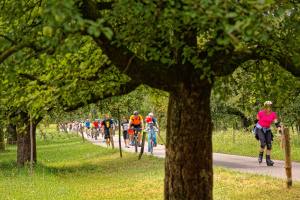 Im Land der Obstbäume bei Altwis (Photo by: www.studhalter.org)
