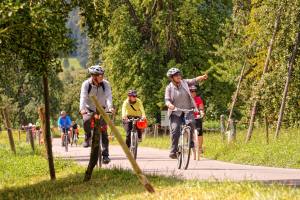 Im Land der Obstbäume bei Altwis (Photo by: www.studhalter.org)