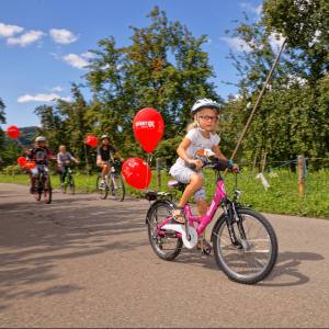 Sonntagsplausch im Land der Obstbäume bei Altwis (Photo by: www.studhalter.org)