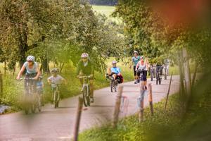 Liegevelo (Photo by: www.studhalter.org)