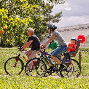 Sonntagsplausch im Land der Obstbäume bei Altwis (Photo by: www.studhalter.org)