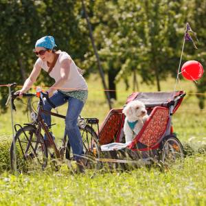 Glückiches Hundeleben (Photo by: www.studhalter.org)