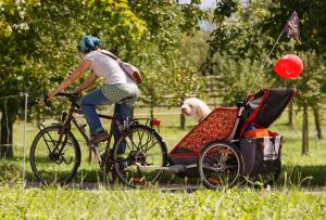 Glückliches Hundeleben... (Photo by: www.studhalter.org)