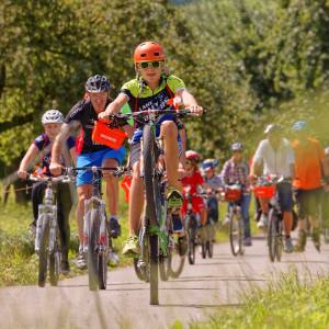 Wheelie (Photo by: www.studhalter.org)