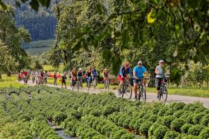 Sonntagsplausch im Land der Obstbäume bei Altwis (Photo by: www.studhalter.org)