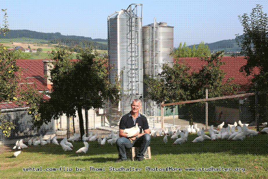 Patrick Wandeler, Geflügelhof Waldi Gunzwil , www.waldihof-ei.ch, posiert im Hühnerhof seiner Geflügelfarm am Blosenberg.