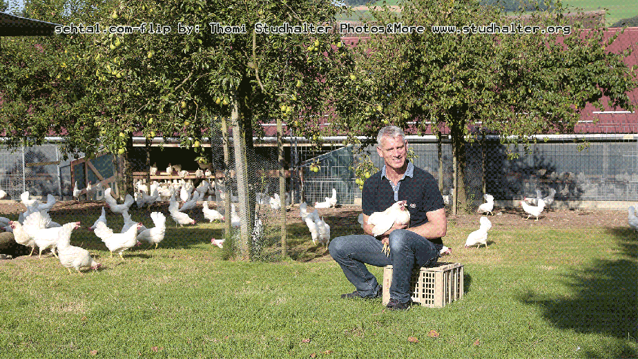 Patrick Wandeler, Geflügelhof Waldi Gunzwil , www.waldihof-ei.ch, posiert im Hühnerhof seiner Geflügelfarm am Blosenberg.