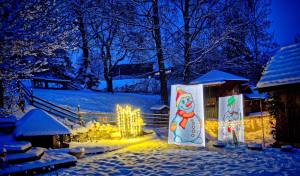 Impressionen Ligth Painting (Lichtmalen) mit Pixelstick und Taschenlampe in unserem Garten.