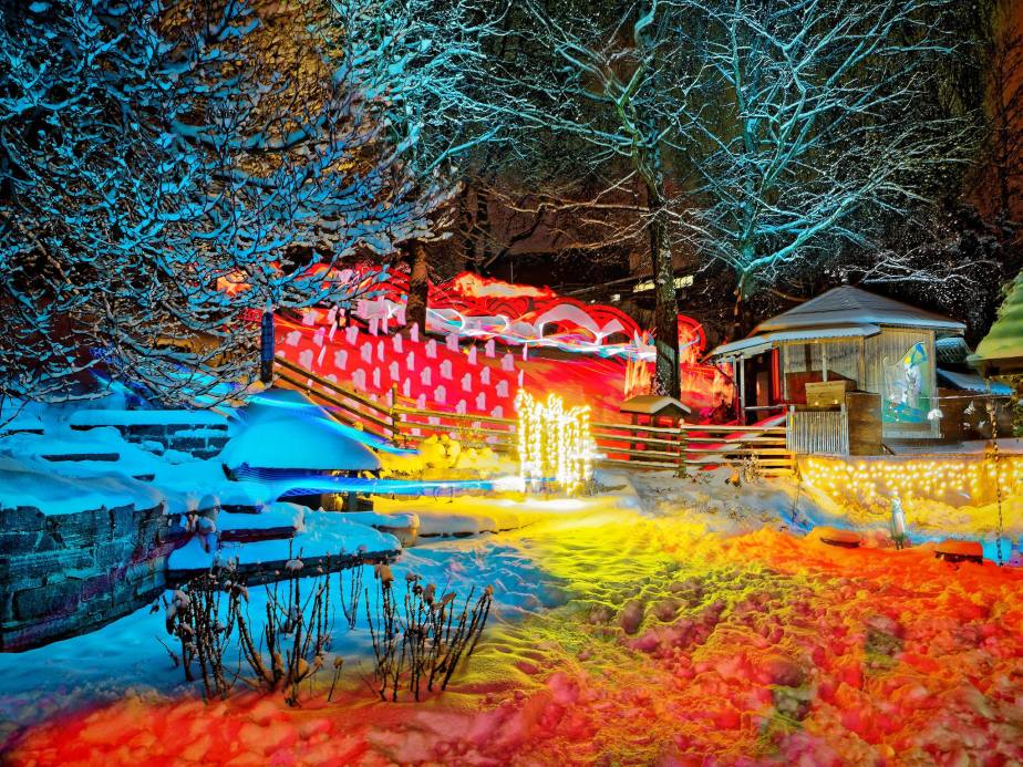 Irrlichter im Schneegarten